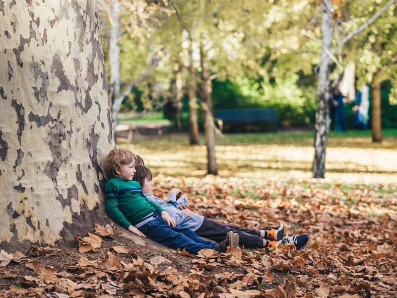children sitting against tree